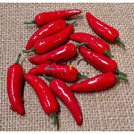 Dekorace chilli 7 cm (12 ks) - červená