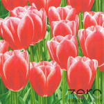 Ubrousky 'Maki' 33x33 cm 3N (20 ks) - tulipány červené